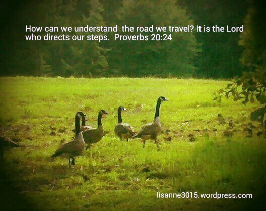 10151153277631203_kindlephoto-520108