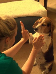 "Doggie- Yoga" Heather and Abbie are soulmates 