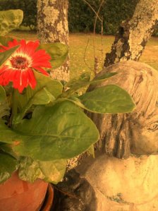 My Mary...hands open, patient, content