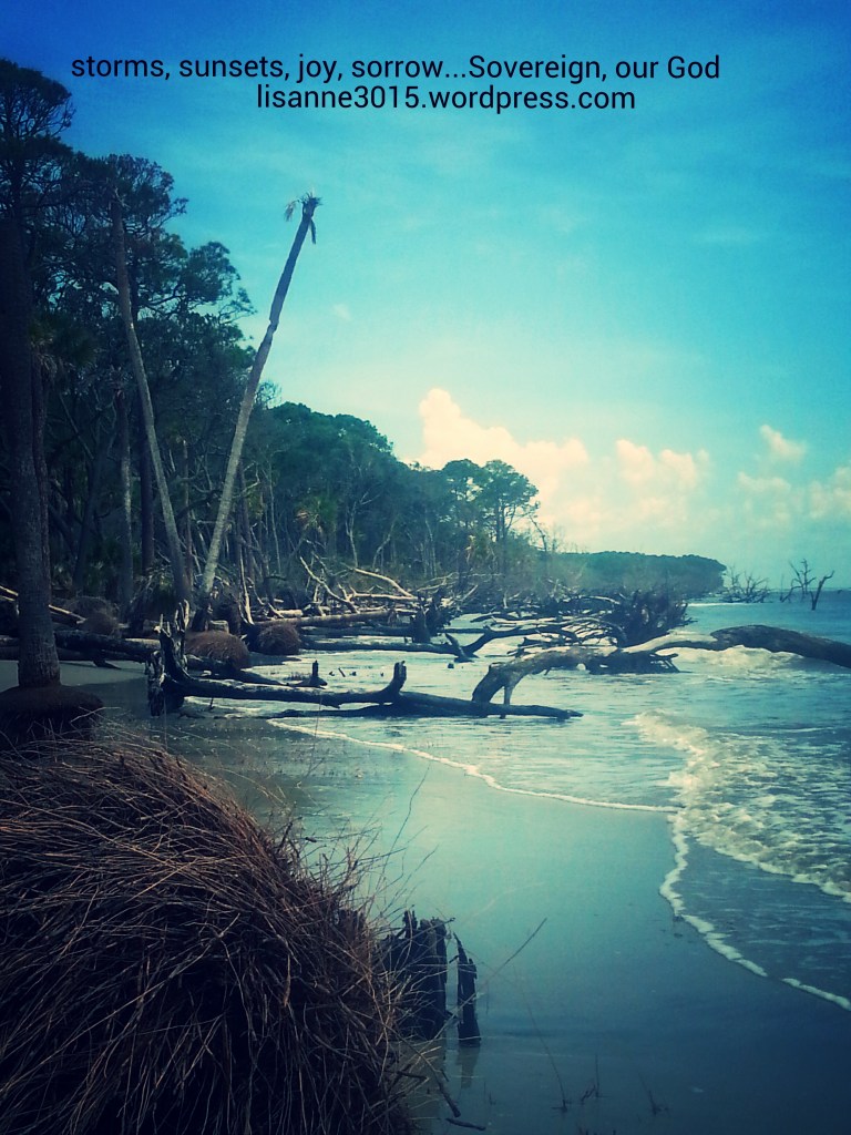 20140714_115140_kindlephoto-6204540