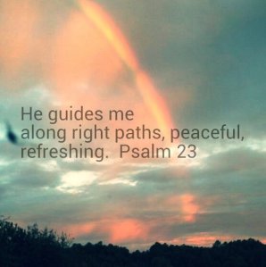 10151288849091203_kindlephoto-3632244