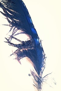 PaperArtist_2014-05-17_20-17-01_kindlephoto-5671790