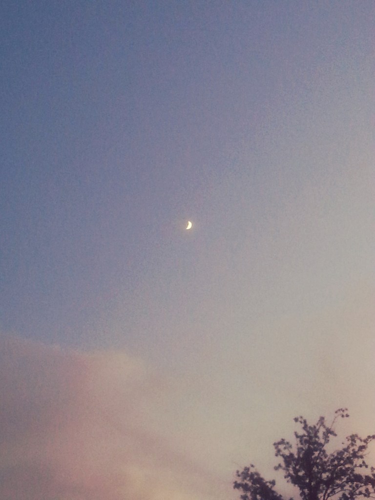 20150820_201619_kindlephoto-3052035