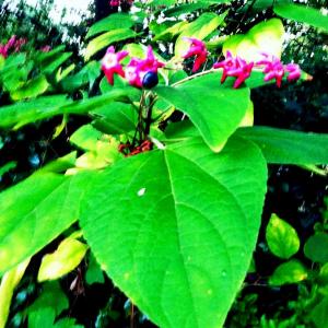 12027188_10153633997316203_6953381551485279848_o