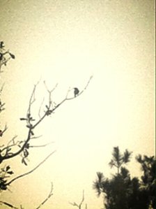 photo 1-6_kindlephoto-41021794