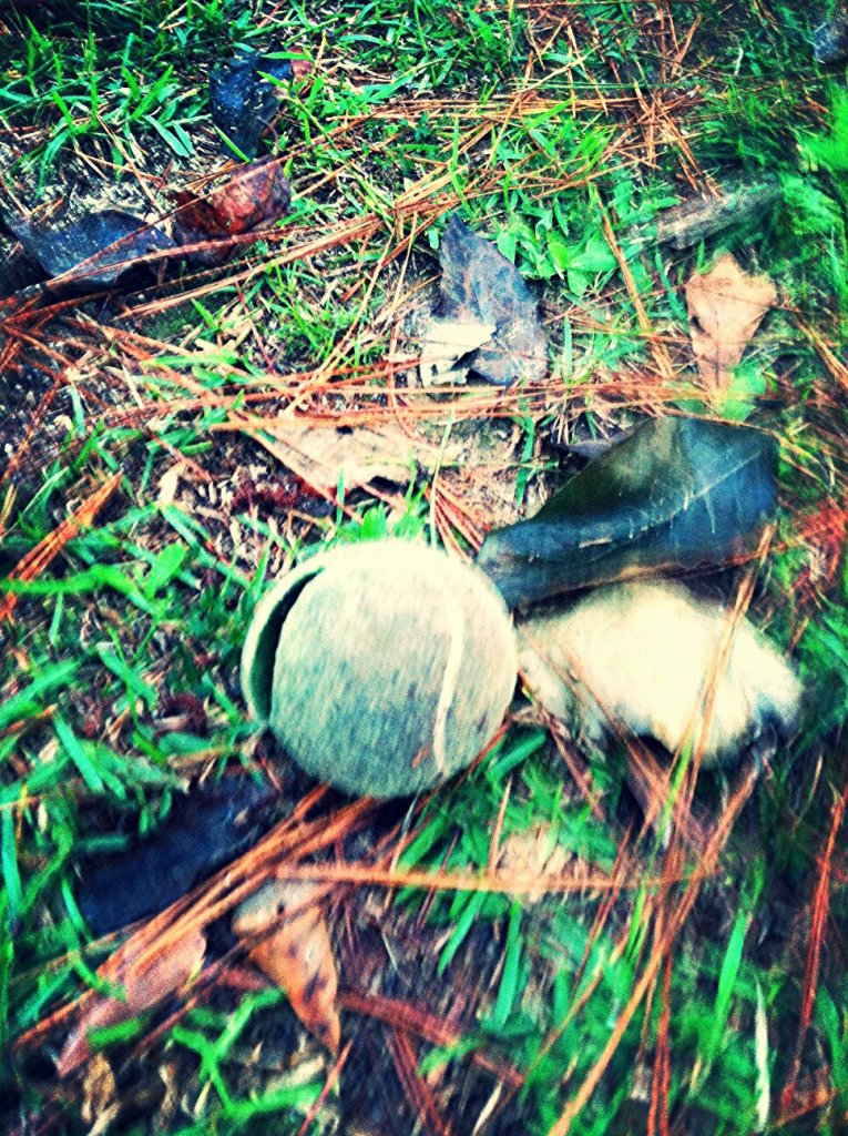 photo 2-4_kindlephoto-58996539