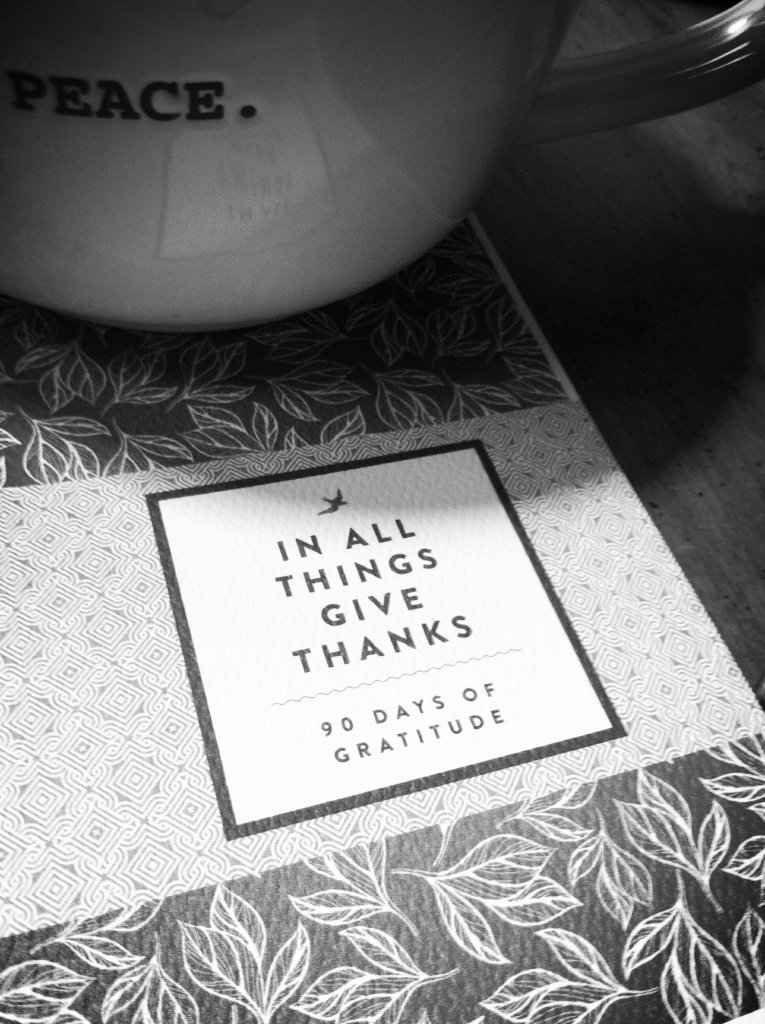 photo 2-5_kindlephoto-23184054