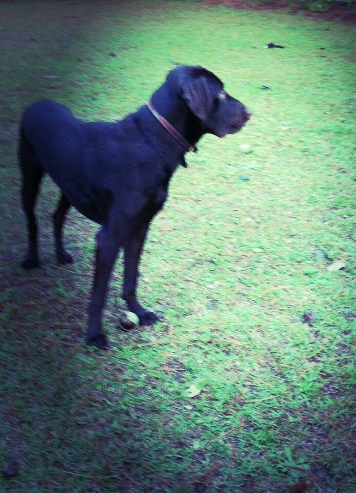 photo 3-3_kindlephoto-58913523