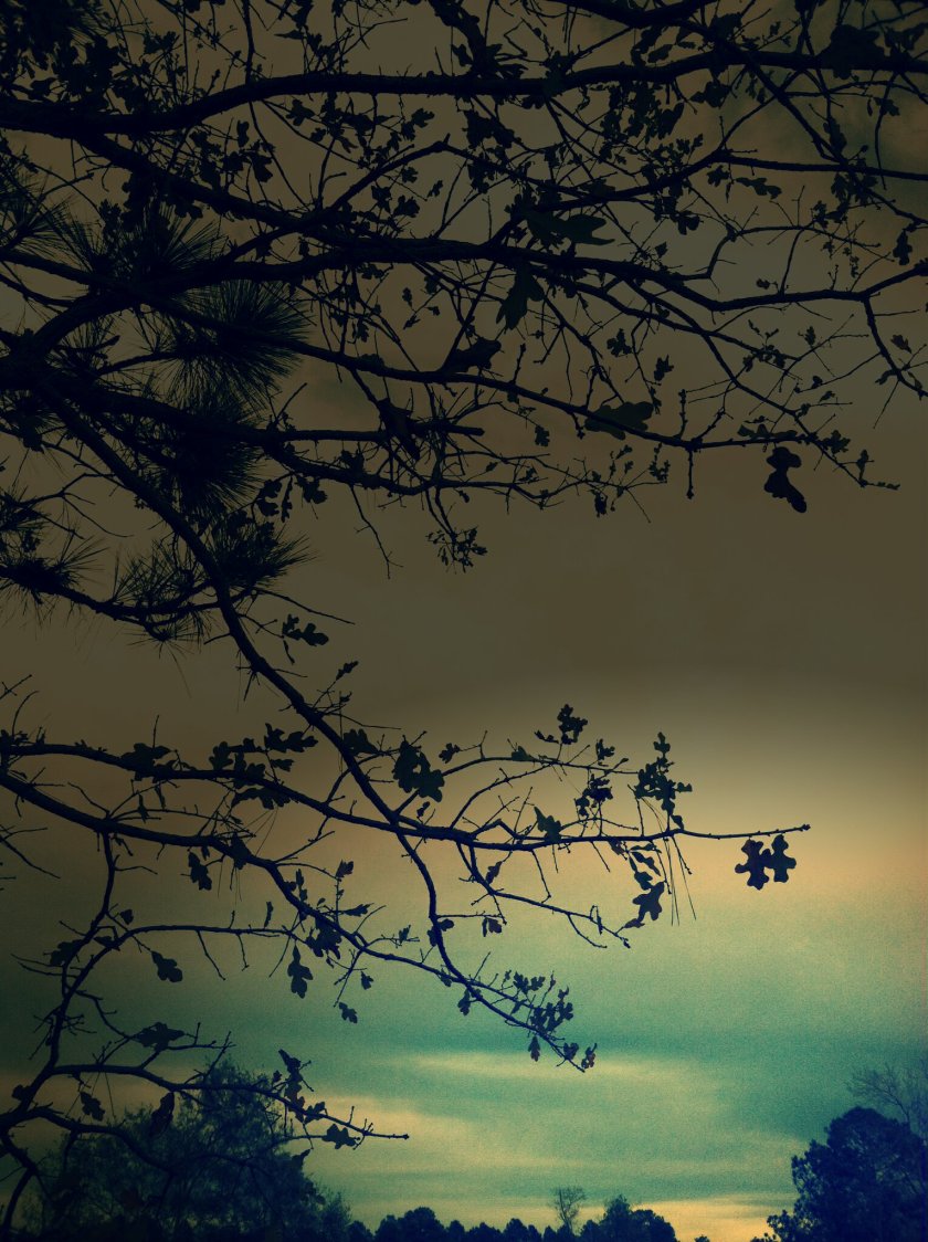 photo-20_kindlephoto-1686767