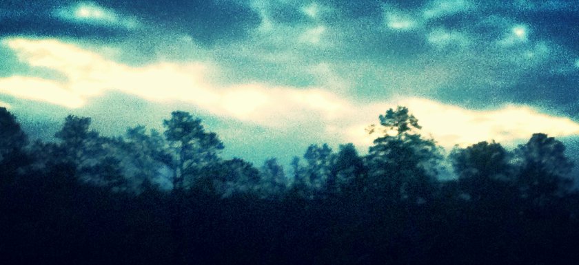 The day, already designed