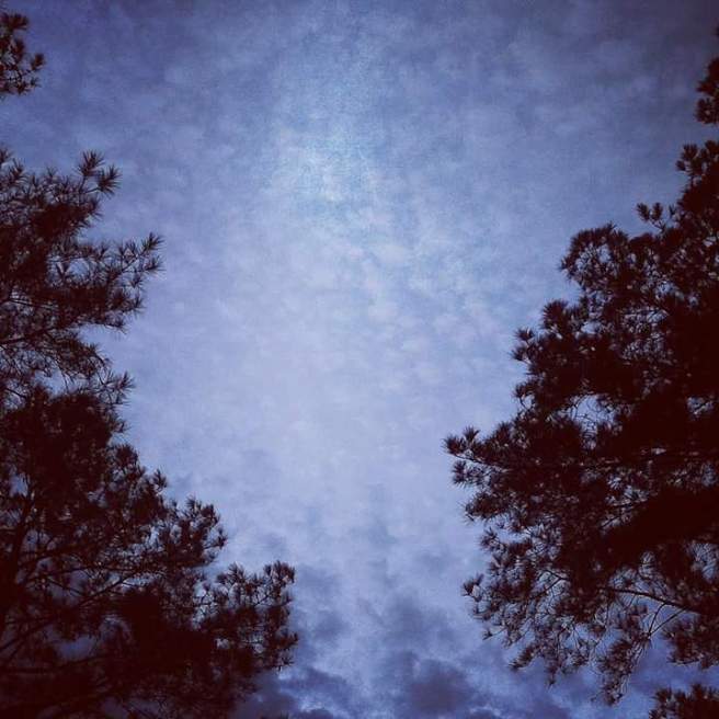 FB_IMG_1450540926184