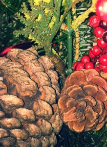 photo 2-7_kindlephoto-9195270