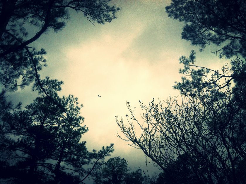 Making sure I'm okay