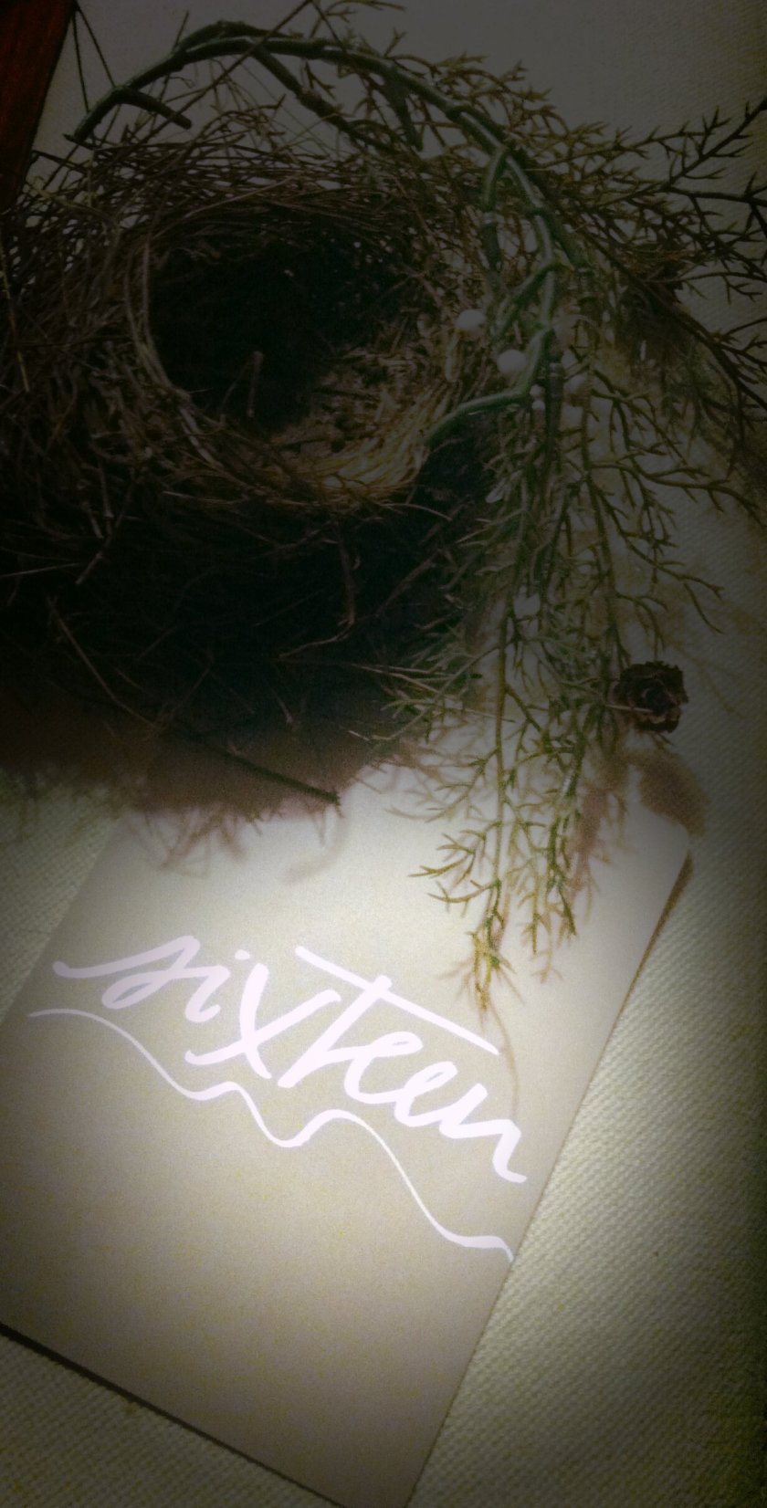 photo-25_kindlephoto-15293171