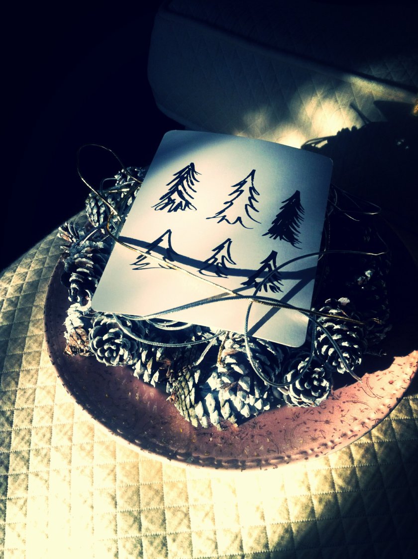 photo-28_kindlephoto-1830853