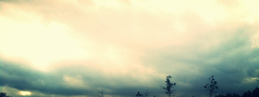 photo-31_kindlephoto-37149237