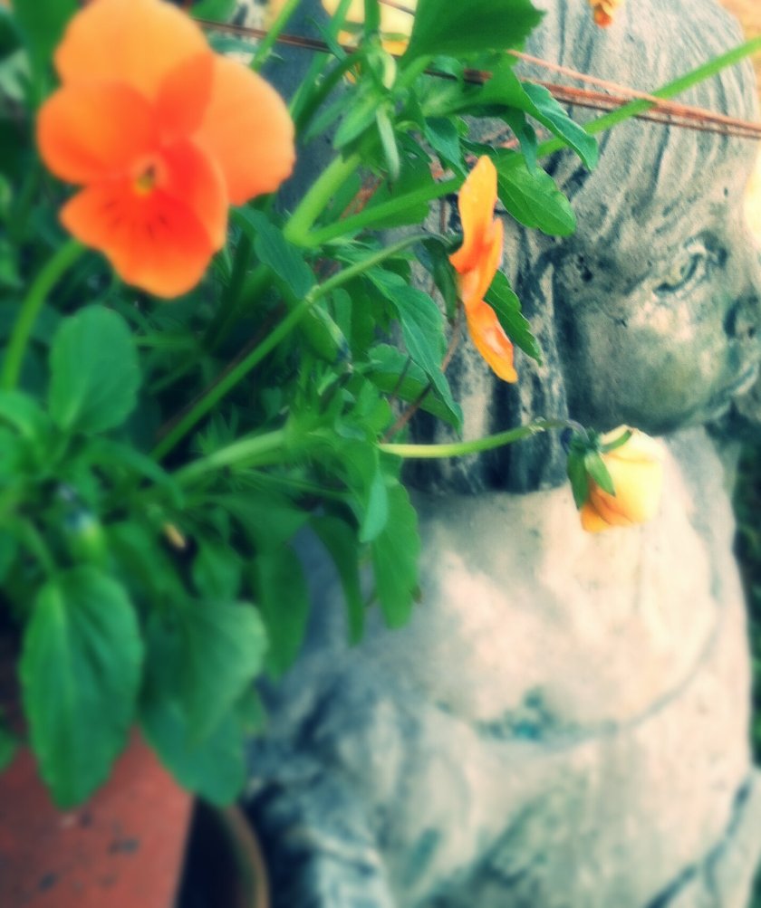 Quiet Confidence...Abiding.