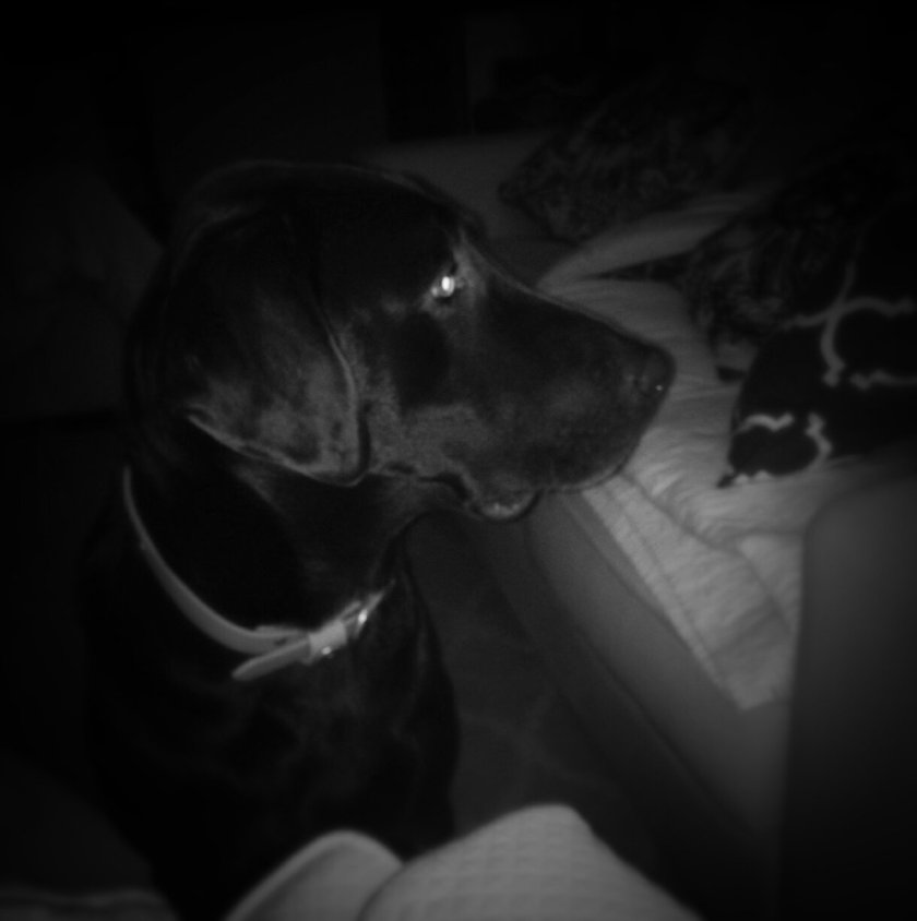 IMG_1144_kindlephoto-2379422