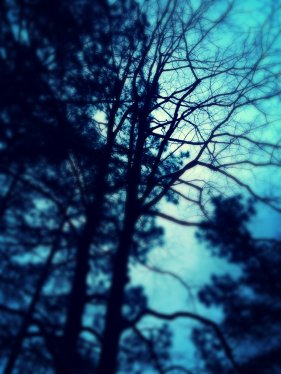 IMG_1195_kindlephoto-4925811