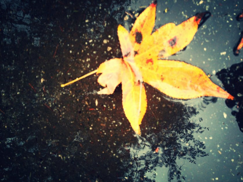 IMG_1267-2_kindlephoto-1608990