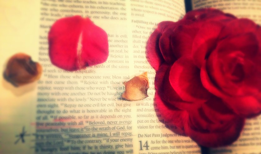 IMG_1407_kindlephoto-12214590