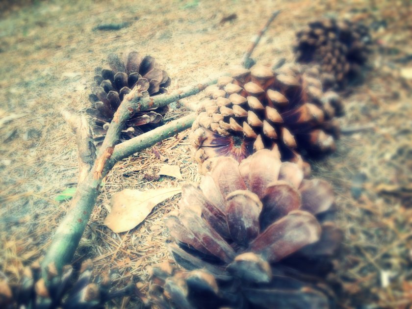 IMG_1459_kindlephoto-13049411