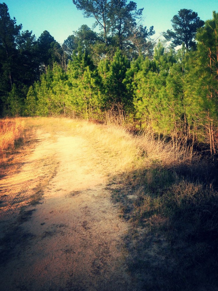 IMG_1709_kindlephoto-1708660