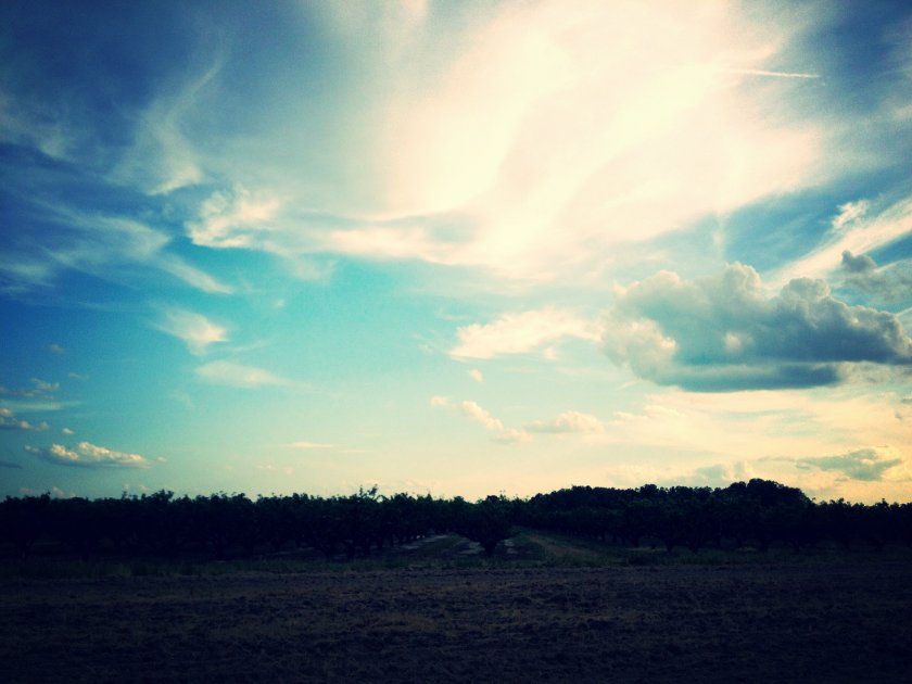 IMG_2035_kindlephoto-9598860