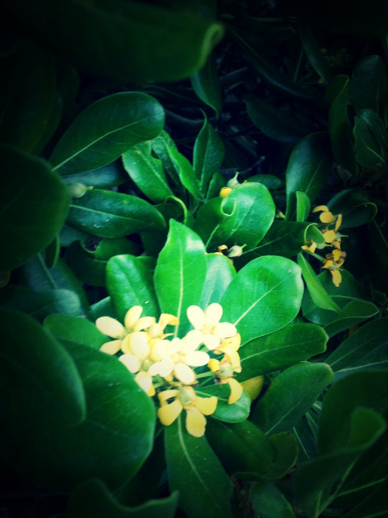 IMG_2086_kindlephoto-20203415