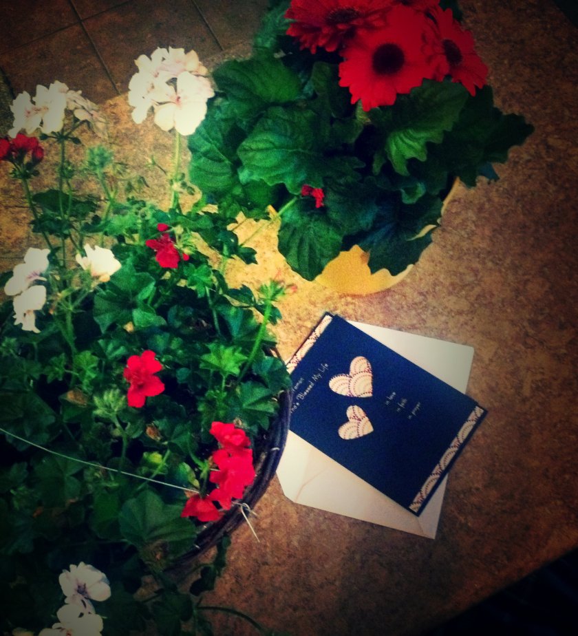 IMG_2231_kindlephoto-321776