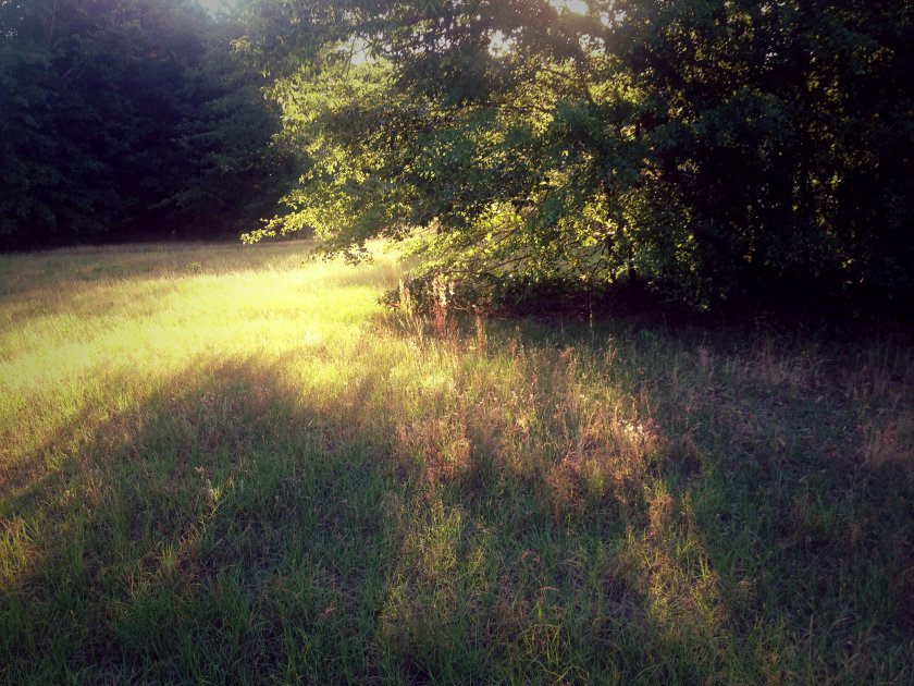 IMG_2285_kindlephoto-10398820