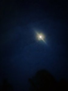 IMG_2291_kindlephoto-26066626