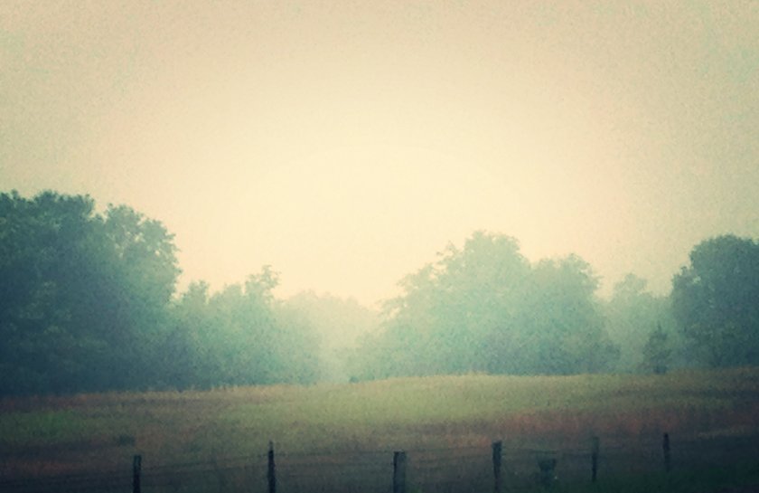 IMG_2318_kindlephoto-24572623