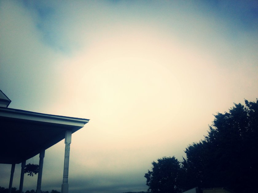 IMG_2320_kindlephoto-97862944