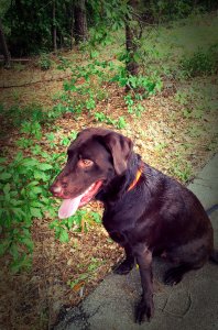 IMG_0050_kindlephoto-2605493