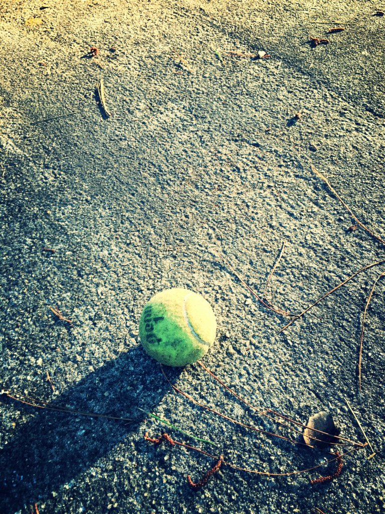 IMG_0261_kindlephoto-23247227