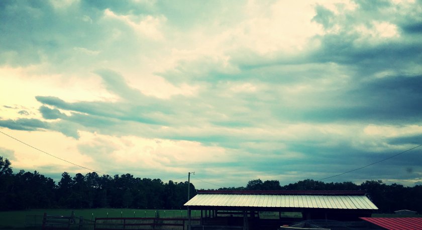 IMG_0274_kindlephoto-9169668