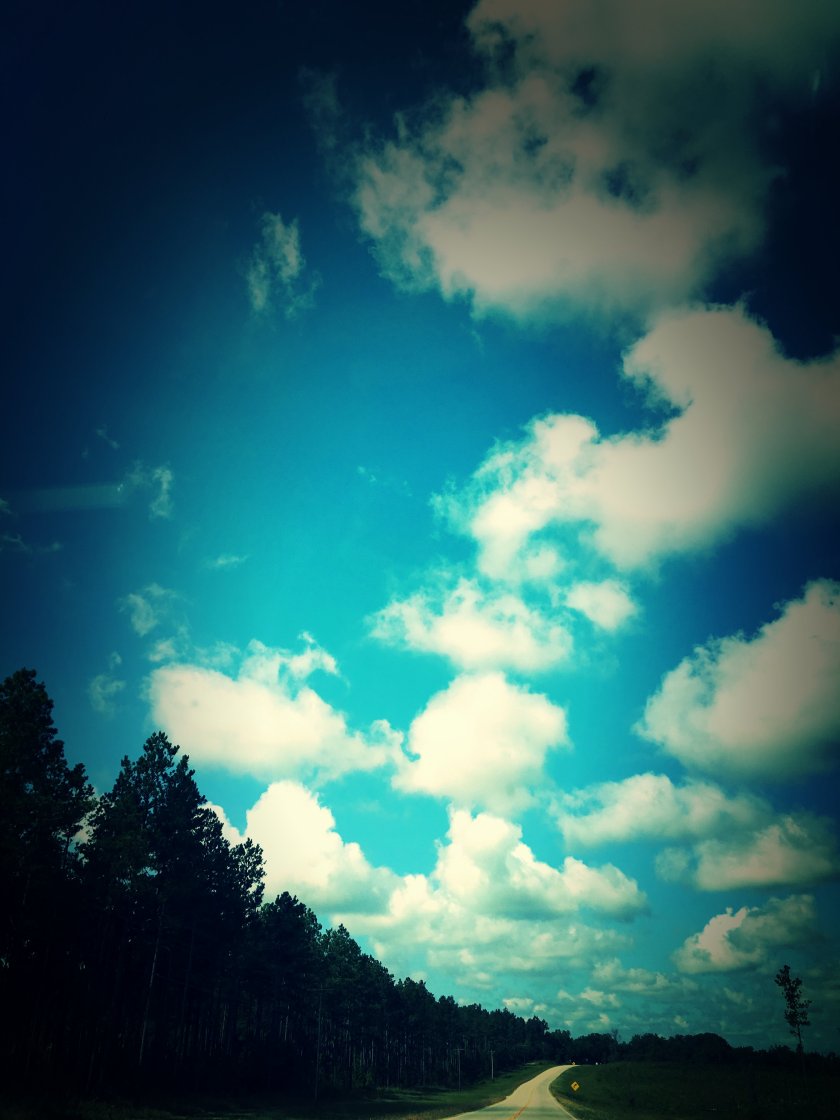 IMG_0495_kindlephoto-1216535