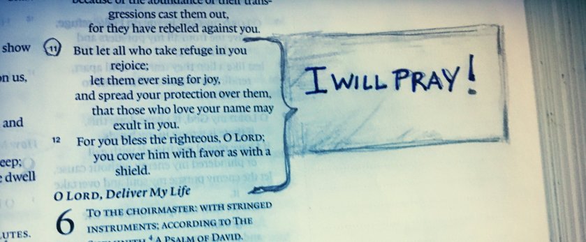 IMG_0520_kindlephoto-1426889