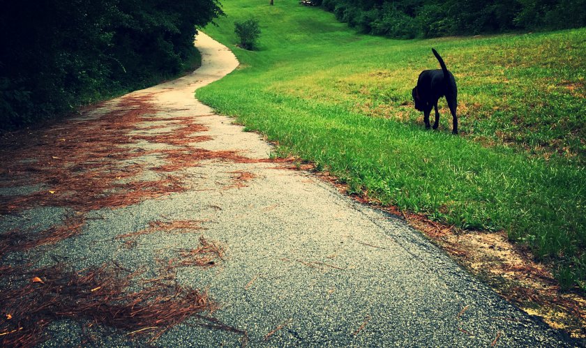 Take the long way home