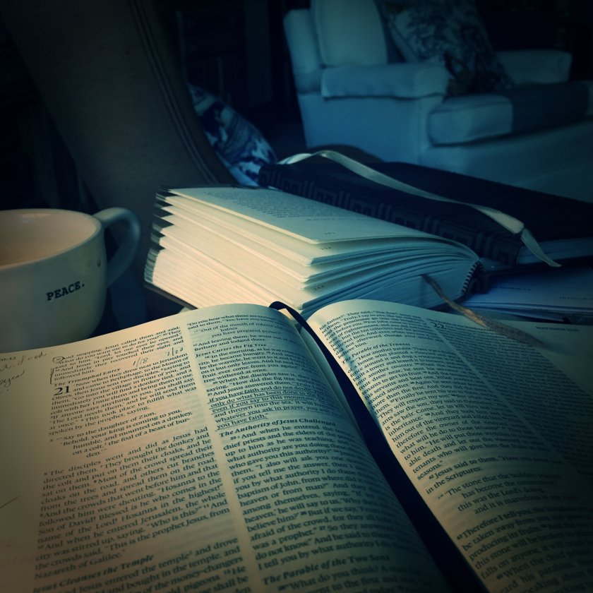 IMG_0709_kindlephoto-496260