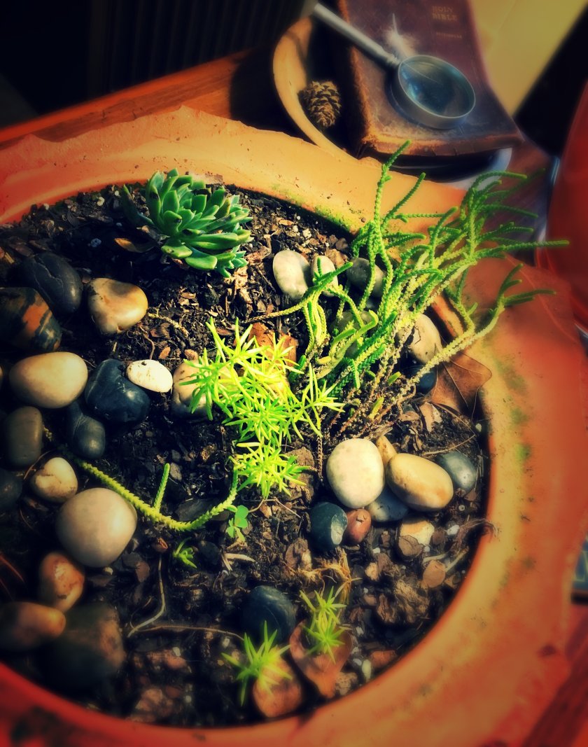 IMG_0935_kindlephoto-25539975