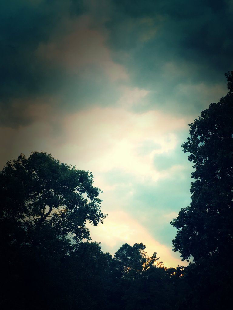 IMG_1335_kindlephoto-1143091