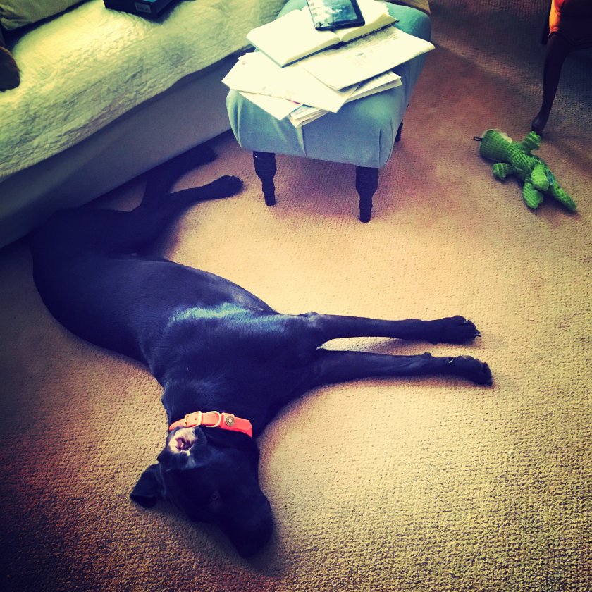 IMG_1492_kindlephoto-6085484