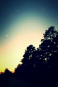 FullSizeRender-16_kindlephoto-3176886