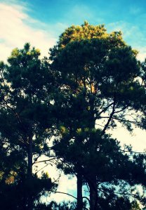 img_2100_kindlephoto-19126492