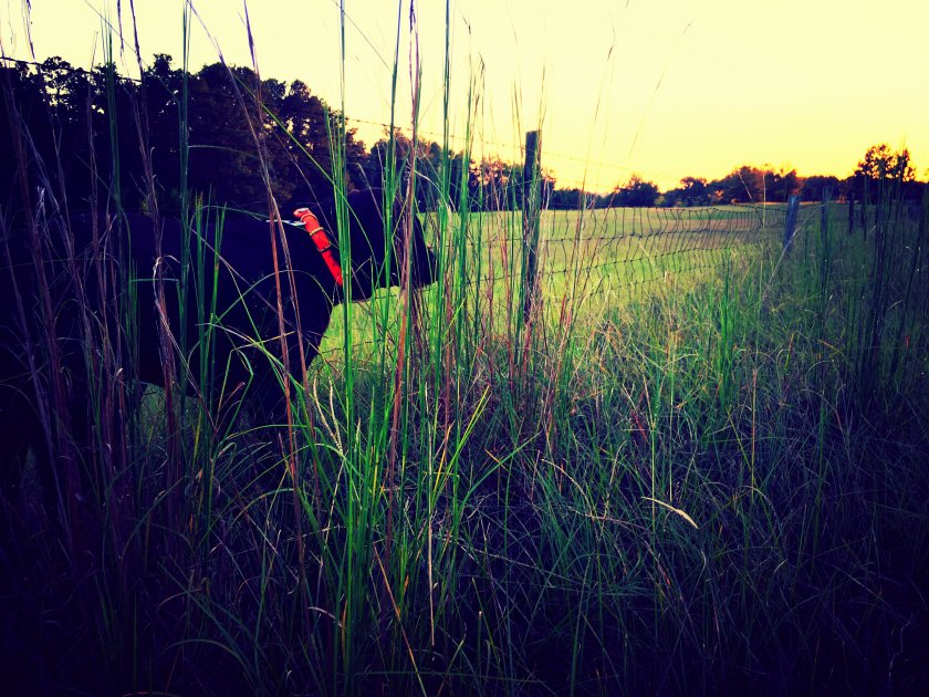 img_2115_kindlephoto-22900060