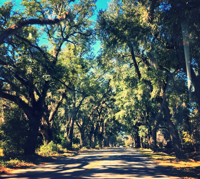 fullsizerender-21_kindlephoto-20427290