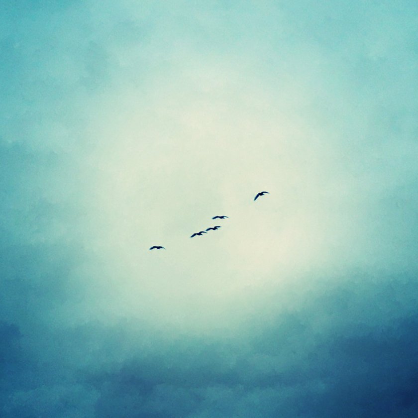 img_2661_kindlephoto-426000