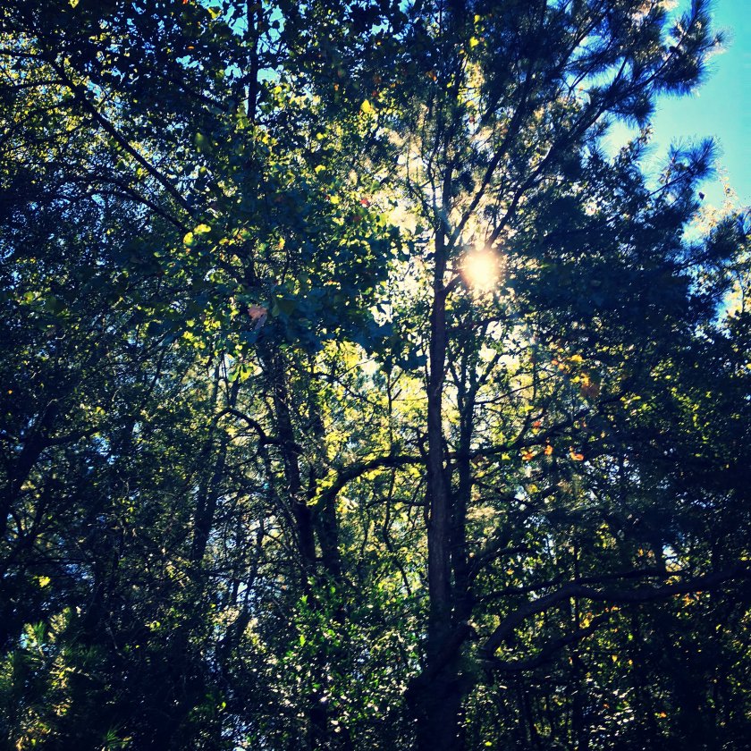 img_2711_kindlephoto-108836